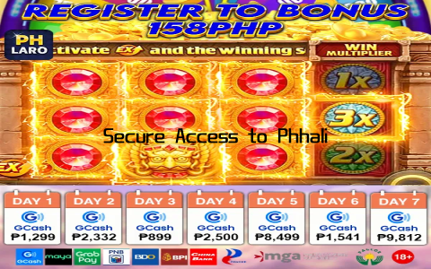 Secure Access to Phhalik Platform Login